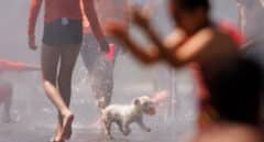 ¿Refugios climáticos o lugares peligrosos? Las dudas de abrir o cerrar los parques durante las olas de calor