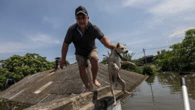 Primer balance de "una catástrofe medioambiental" usada como arma