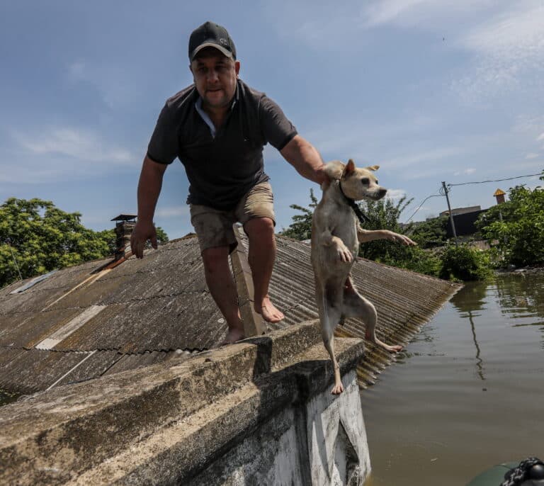 Primer balance de "una catástrofe medioambiental" usada como arma