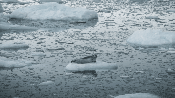 El hielo marino del Ártico podría desaparecer por completo en septiembre de 2030