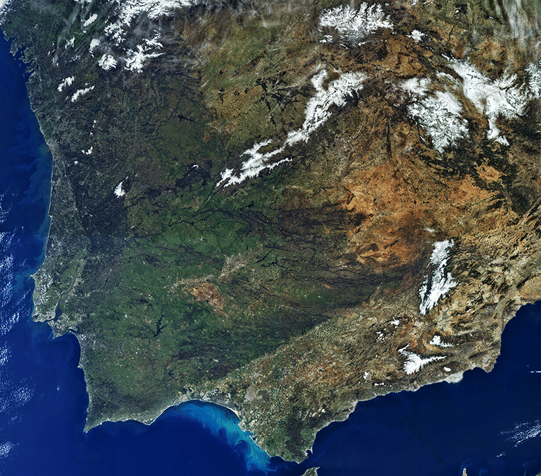 El nuevo ecosistema ibérico: cómo la fauna y la flora reaccionan al cambio climático