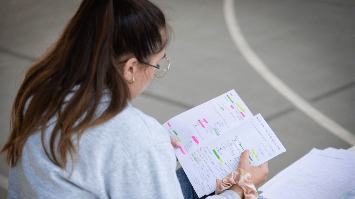 Estudiante repasando una asignatura de la Evau en la selectividad