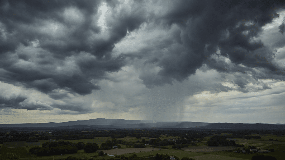 Lluvias sobre plantaciones, que se esperan más de lo normal según las predicciones del jóven Jorge Rey para este verano 2023