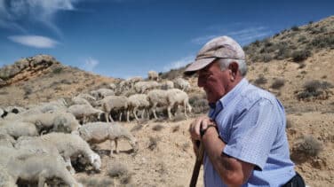 Las cesiones europeas a políticas "ambientales radicales" que arrinconan al campo