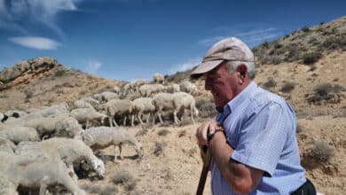 Las cesiones europeas a políticas "ambientales radicales" que arrinconan al campo