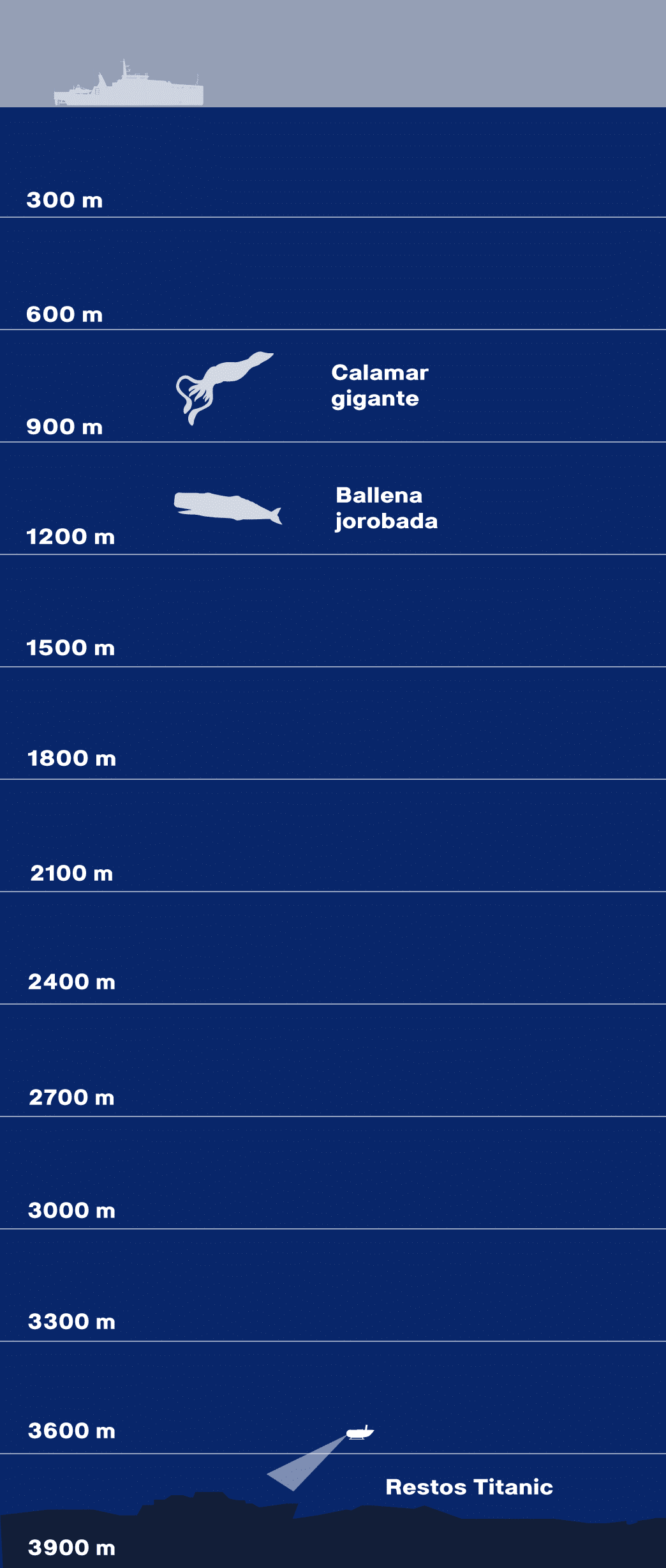 Perfil oceánico de la zona