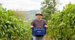 El sueño de un gallego que emigró a Venezuela: producir el mejor vino de España