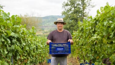 El sueño de un gallego que emigró a Venezuela: producir el mejor vino de España