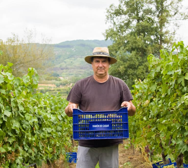 El sueño de un gallego que emigró a Venezuela: producir el mejor vino de España