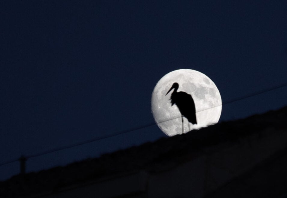 Así ha sido la superluna llena de julio conocida como “Luna de Ciervo” desde Logroño, La Rioja