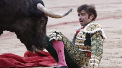 Robleño, corneado en Pamplona por el primer toro de Escolar