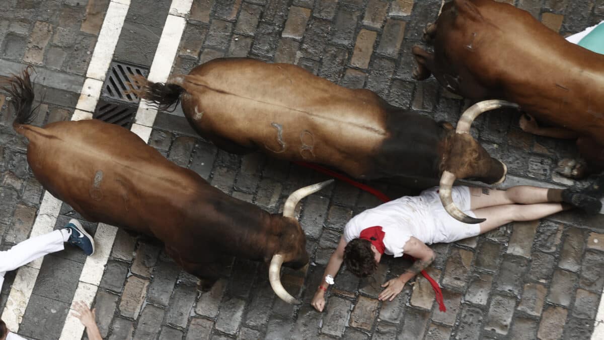 Encierro de los toros de La Palmosilla en Pamplona.