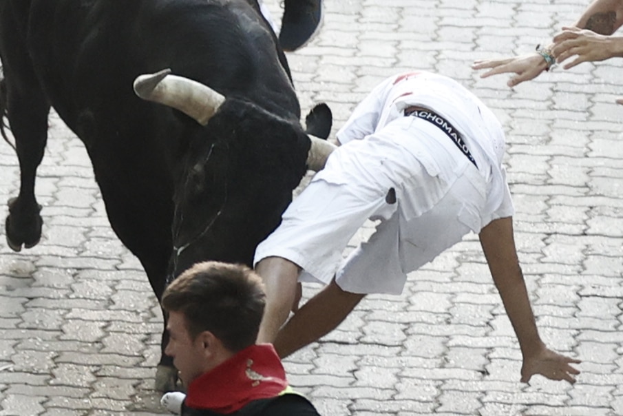 Un toro de Victoriano del Río coge a un corredor en el séptimo encierro.