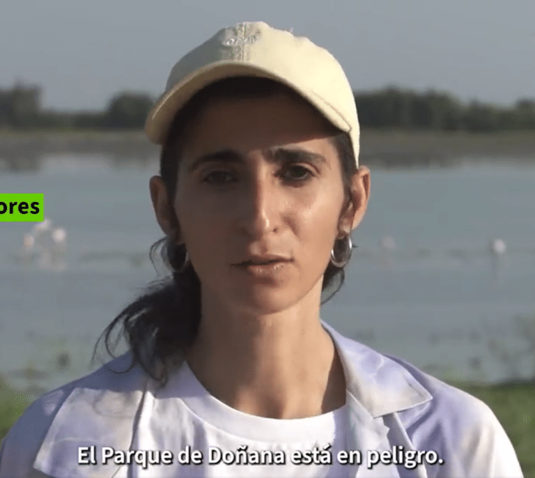 Alba Flores se une a Greenpeace para denunciar la situación en Doñana