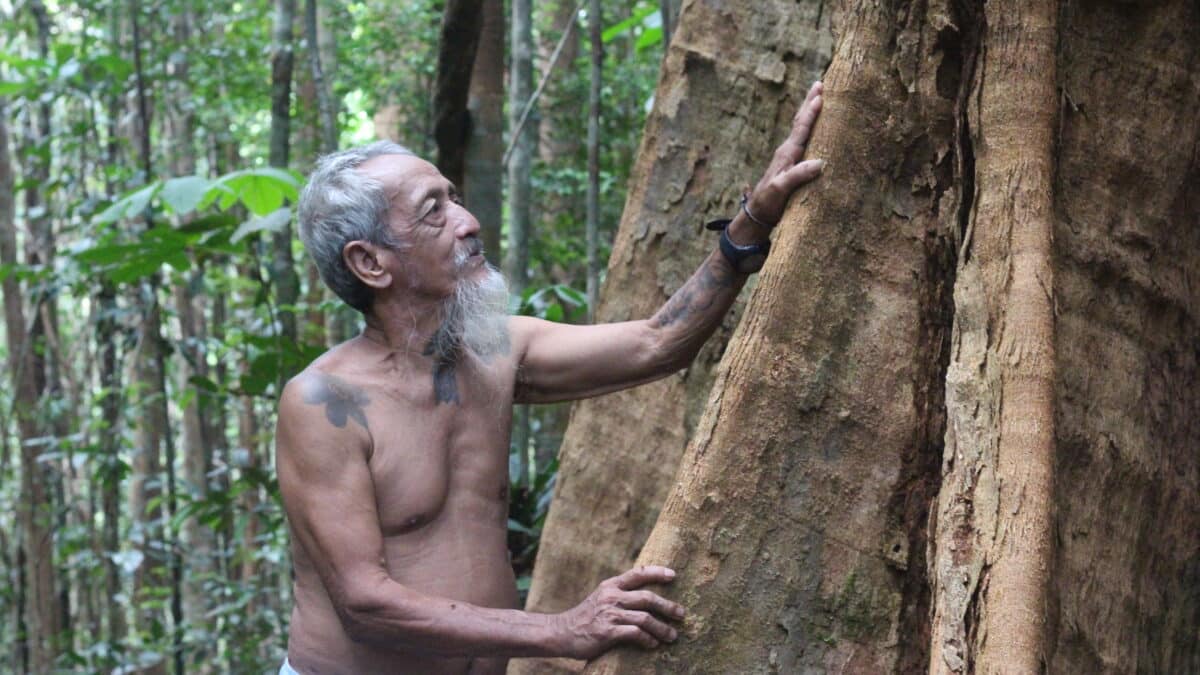 Fundación Calouste Gulbenkian distingue por su labor ambiental a tres líderes internacionales