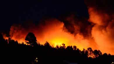 España se abrasa: las olas de calor  ponen a nuestro país en riesgo extremo por incendios