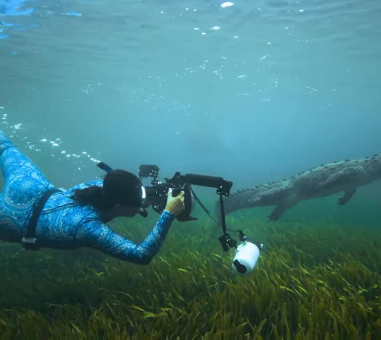 La vida salvaje de Cristina Mittermeier: "La fotografía nos recuerda que estamos a tiempo de salvar el mundo"