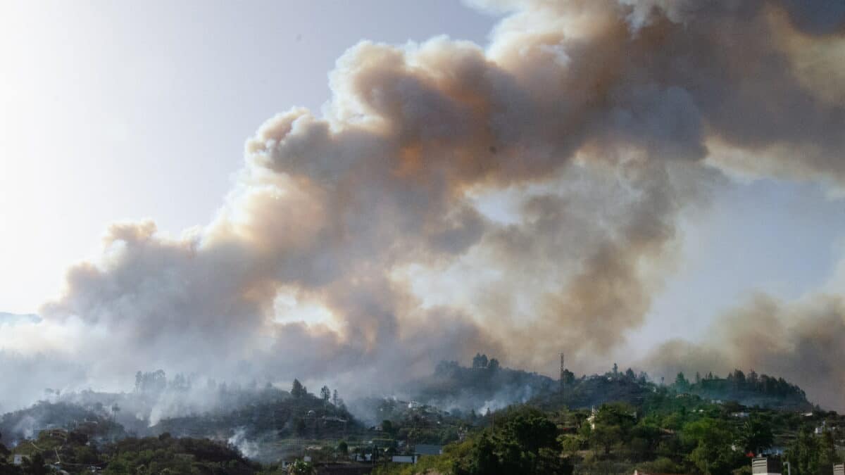 Un helicóptero lanza agua sobre las llamas del incendio forestal en Puntagorda, La Palma
