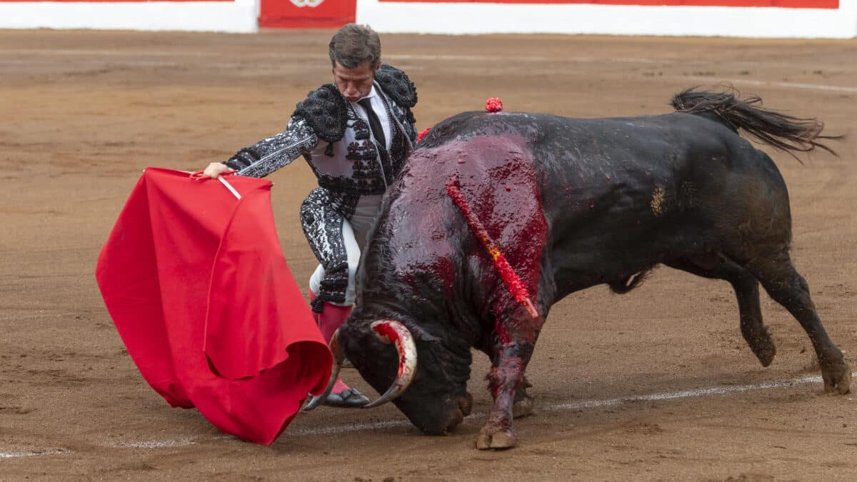 El Juli se dobla con el toro en Santander.