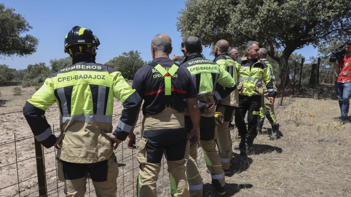 Efectivos del cuerpo de bomberos acuden al lugar donde una persona ha fallecido este martes al estrellarse una avioneta cerca de Mérida