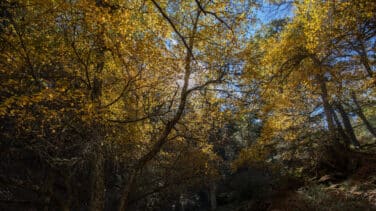 La biodiversidad no tiene ideología