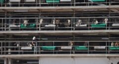 "Cowcaine": La nueva moda de envío de droga en barco-establo