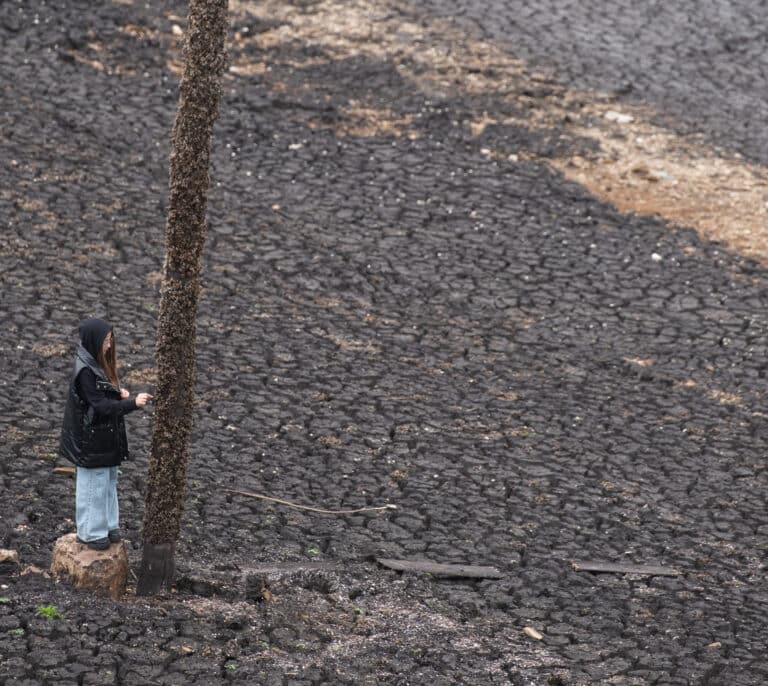 Dos millones de personas podrían quedarse sin agua potable en Montevideo si no llueve