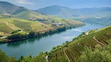 Viticultura heroica: los vinos cultivados en lugares 'imposibles' que el cambio climático pone en riesgo