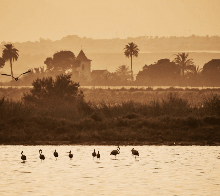 Así son los pueblos que participan en el nuevo Grand Prix 2023 