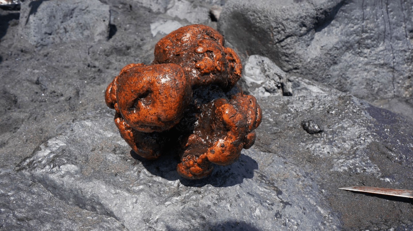 Piedra de ámbar hallada en el cachalote varado en una playa de La Palma.