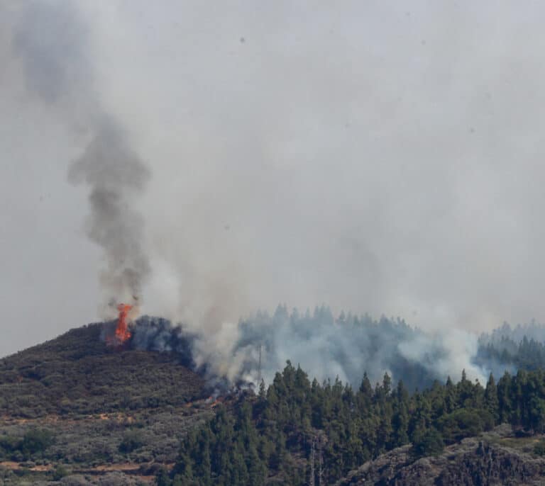 Declarado un incendio en la cumbre de Gran Canaria