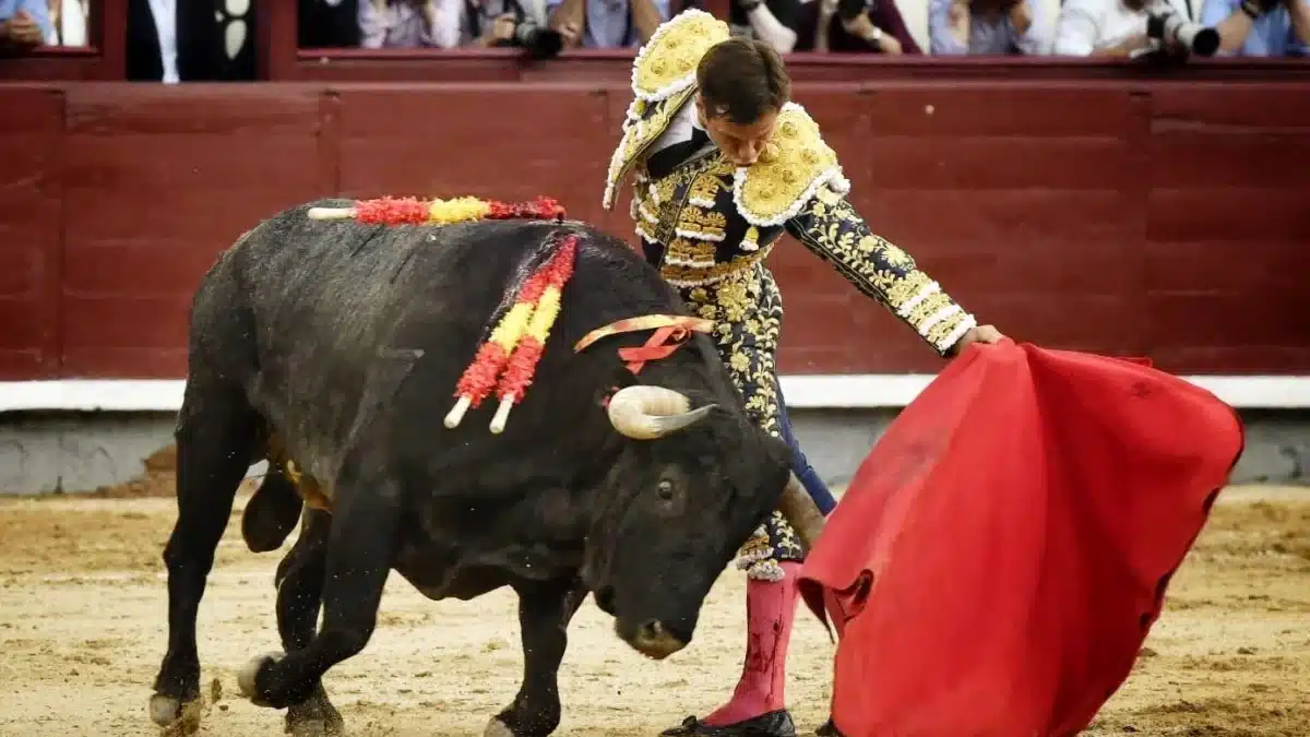 El Juli, con un toro de La Quinta en Las Ventas.