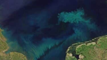 El océano se está tiñendo de un color verdoso a causa del cambio climático