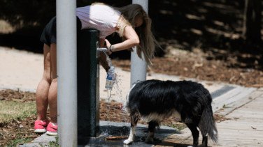 Las dos primeras olas de calor dejan en España 381 muertes