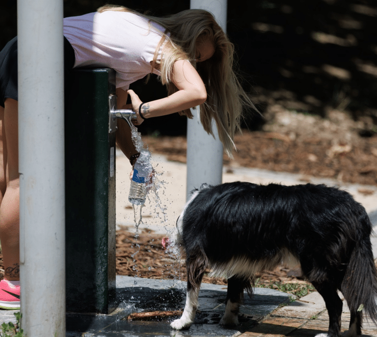 Las dos primeras olas de calor dejan en España 381 muertes