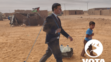El PACMA envía a Sánchez a los campamentos de refugiados saharauis: "Que se ponga en su lugar"