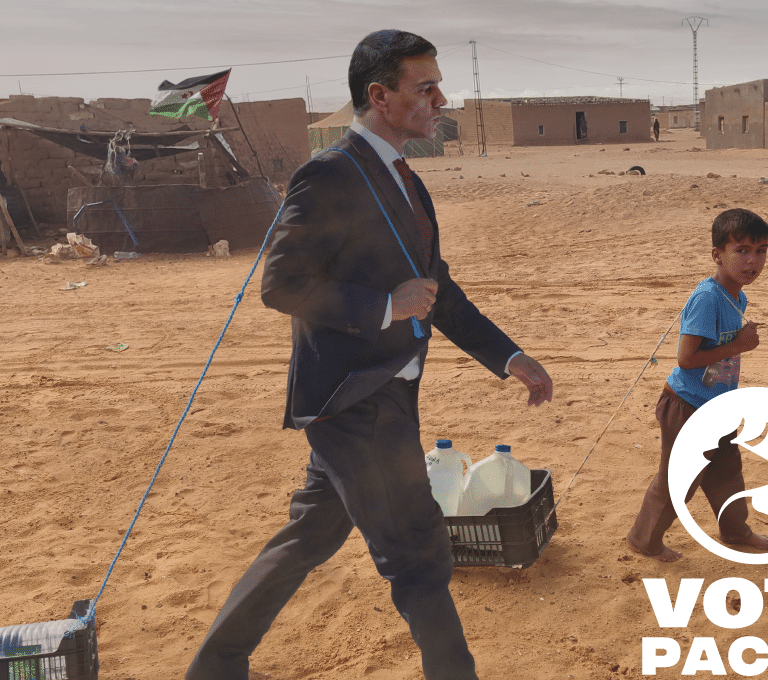 El PACMA envía a Sánchez a los campamentos de refugiados saharauis: "Que se ponga en su lugar"