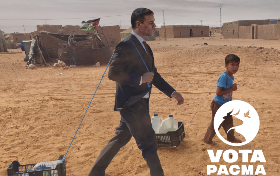 Fotomontaje del PACMA con Pedro Sánchez en los campamentos de refugiados saharauis de Tindouf (Argelia).