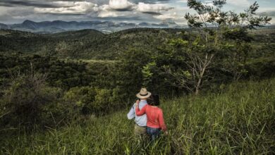 El edén de los Salgado: la ecologista y el fotógrafo que vencieron a la deforestación