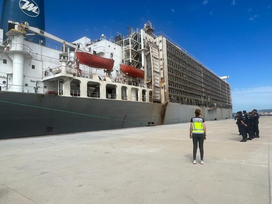 Barco-establo siendo inspeccionado.