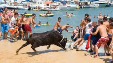 Un toro muere ahogado en la celebración de Bous a la mar en Denia