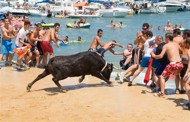 Imagen de archivo de la celebración de 'Bous a la mar' en Denia (Alicante)