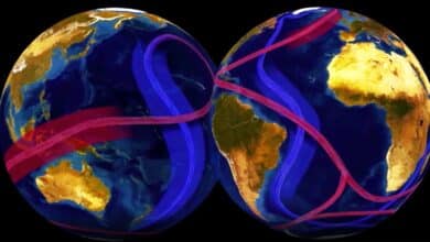 La circulación de los océanos puede interrumpirse a partir de 2025, causando una glaciación en Europa