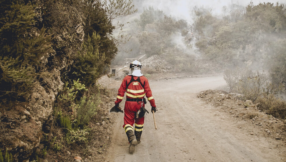Efectivos de la UME en labores de extinción del incendio forestal que afecta a la isla de Tenerife