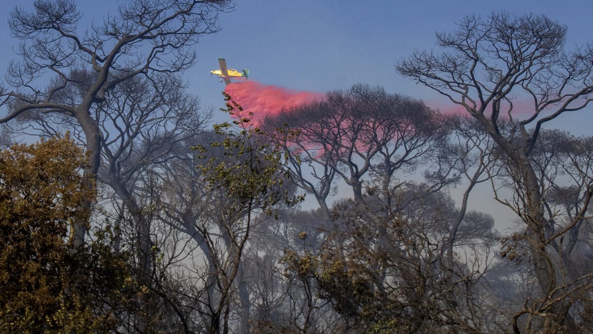 Imagen del incendio en Cádiz