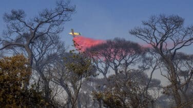 El incendio en Cádiz que dejó la ciudad prácticamente incomunicada se da por estabilizado