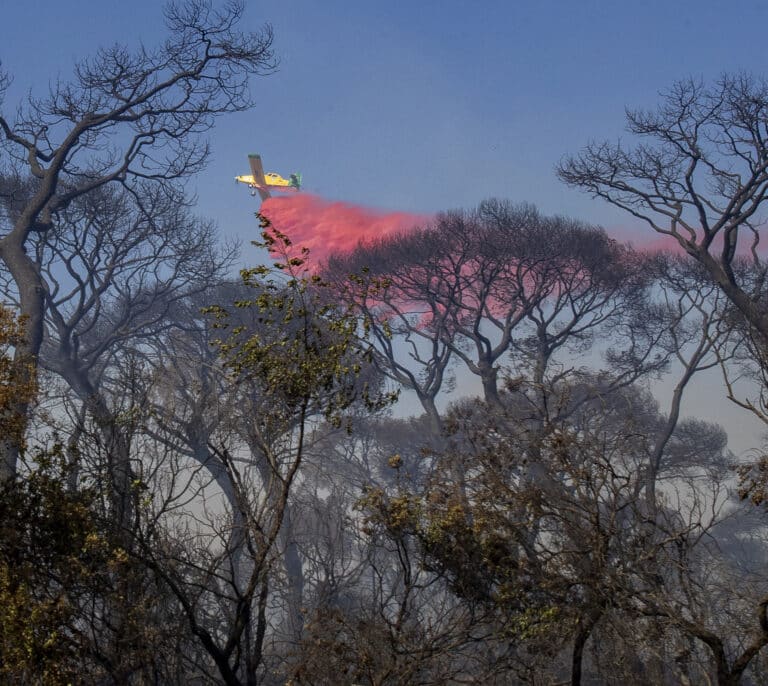 El incendio en Cádiz que dejó la ciudad prácticamente incomunicada se da por estabilizado