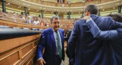 El PNV ve "precipitada" la ronda de consultas del Rey y rechaza una "investidura flash" de Sánchez