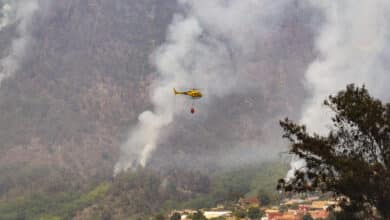 El gobierno de Canarias confirma que el incendio de Tenerife fue provocado