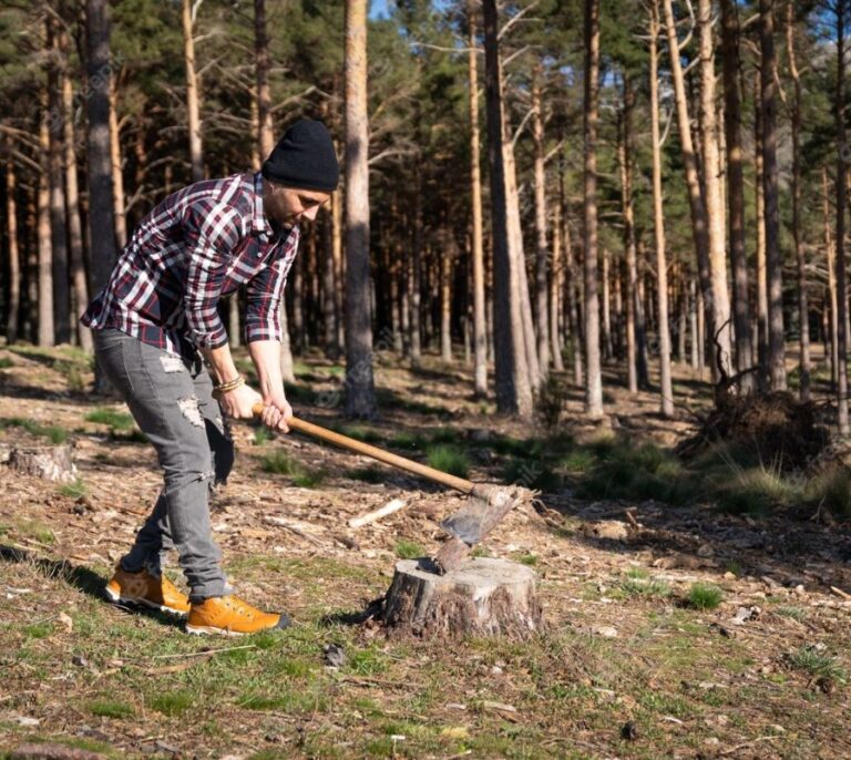 Fundación Artemisan denuncia un "exceso de proteccionismo" legal y pide flexibilizar la gestión forestal para prevenir incendios